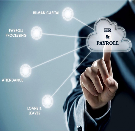 HR & Payroll Software